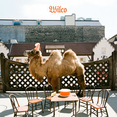 Wilco -- the record