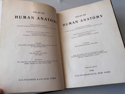Atlas of Human Anatomy (3 vols, 1930), Johannes Sobotta, Stechert & Co. - Image 10