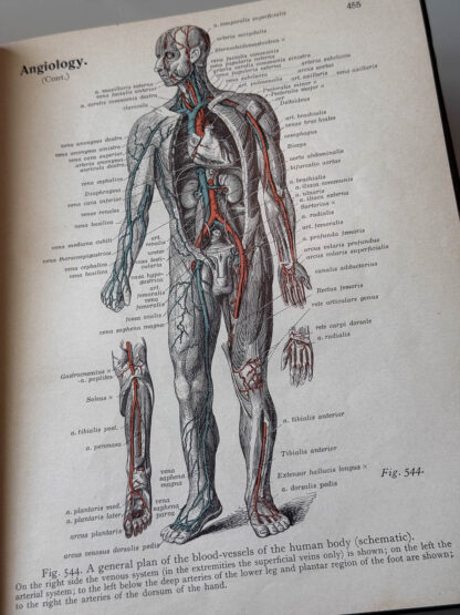 Various pics of the Atlas of Human Anatomy in three volumes.