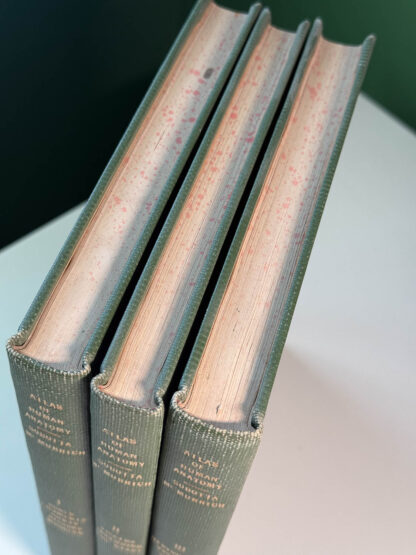 Various pics of the Atlas of Human Anatomy in three volumes.