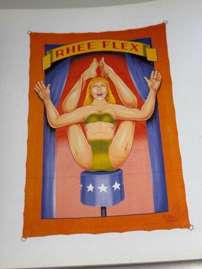 A picture of the book Freaks, Geeks, & Strange Girls published in 1996 by Hardy Marks.