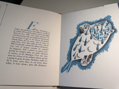 pictures of the portfolio Geographie Animale by Jean Lurcat