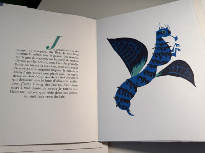 pictures of the portfolio Geographie Animale by Jean Lurcat