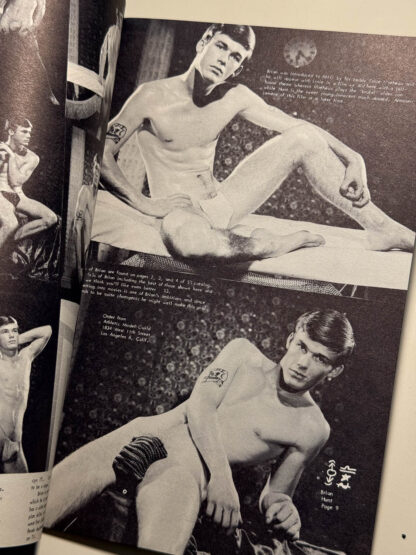 Pictures of 3 Physique Pictorials – Tom of Finland & The Tough Guys