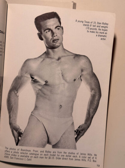 A picture of The Male Figure published by Bruce of Los Angeles
